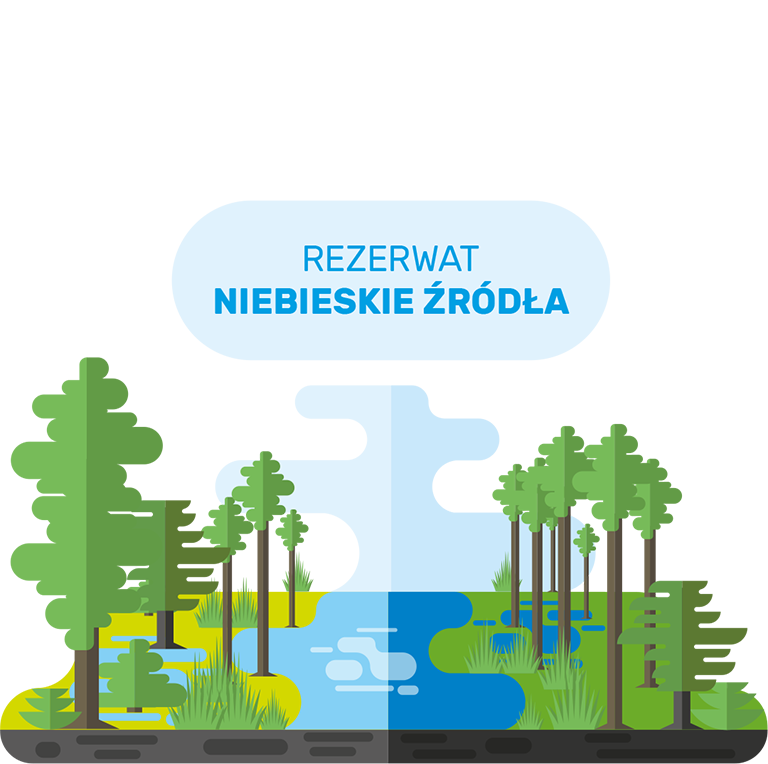 Najlepiej znany i najczęściej odwiedzany rezerwat w Polsce Środkowej. Głównym przedmiotem ochrony jest zespół wywierzysk, pięknych i malowniczych źródeł krasowych, wraz z rozlewiskami utworzonymi przez kanały odpływowe infografika npk spalskipk